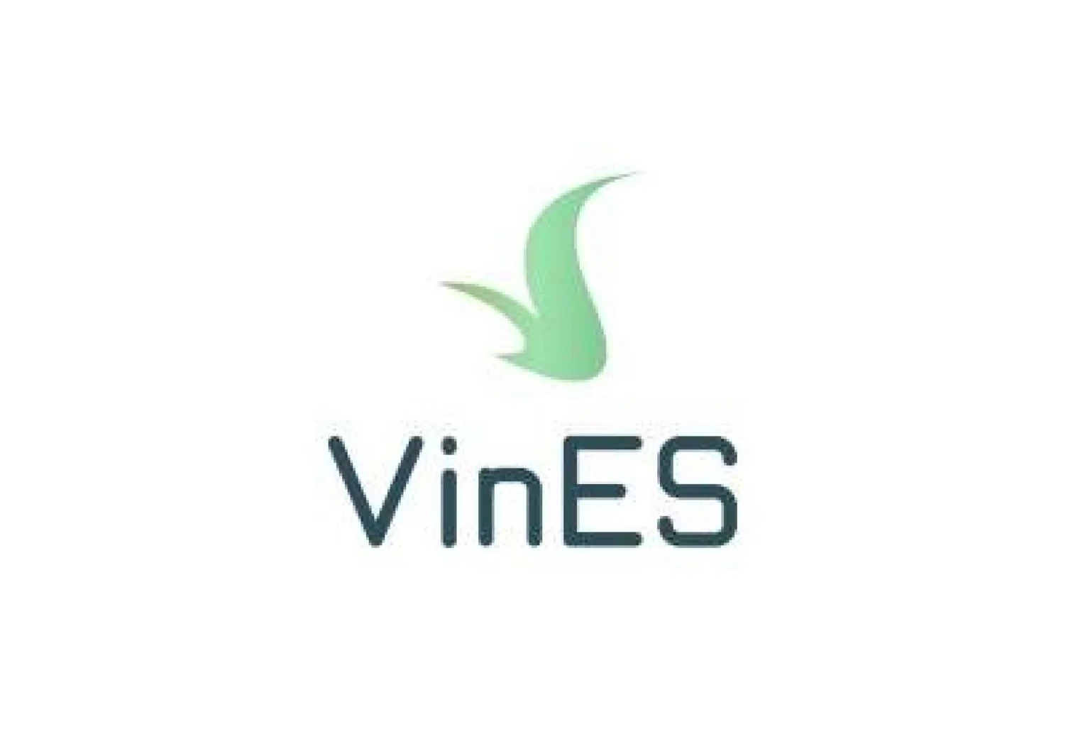 VinES