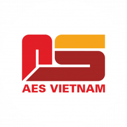 AES Vietnam's Milestones